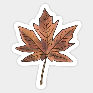 Maple Leaf Sticker